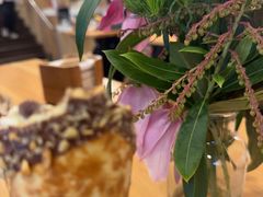 -Patagonia Chocolates(皇后镇店)