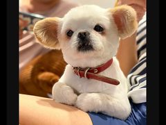 -麦霸KTV(光谷店)