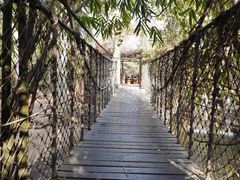 -长鹿旅游休博园