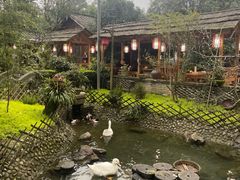 -青城甲(青城山店)