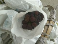 -马陆小张葡萄园农家乐