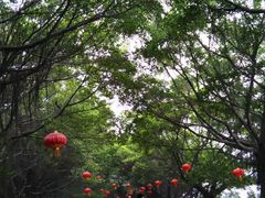 -大湾区中央湿地公园