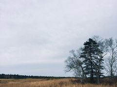 -凤凰山国家森林公园