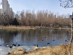 -前关湿地公园