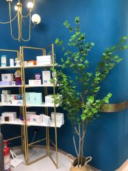 -More摩尔医美の注射线雕光电中心