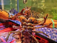 -巽寮印象美食部落餐厅·海鲜·地方特色菜(惠州体验店)