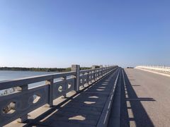 -南湖湿地公园