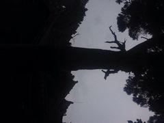 iphone_upload_pic-七曲山风景区
