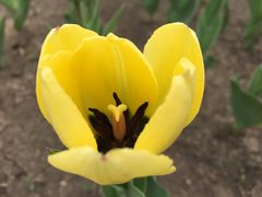 -长春公园(普阳街道)