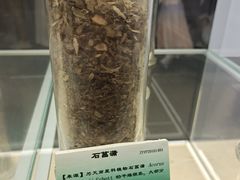 -广东中医药博物馆