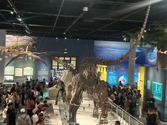 -国家自然博物馆