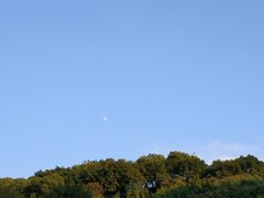 -武陵山森林公园