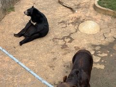 -无锡动物园·太湖欢乐园