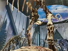 -国家自然博物馆