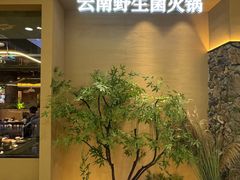 -季季山•云南野生菌火锅(上海首店)
