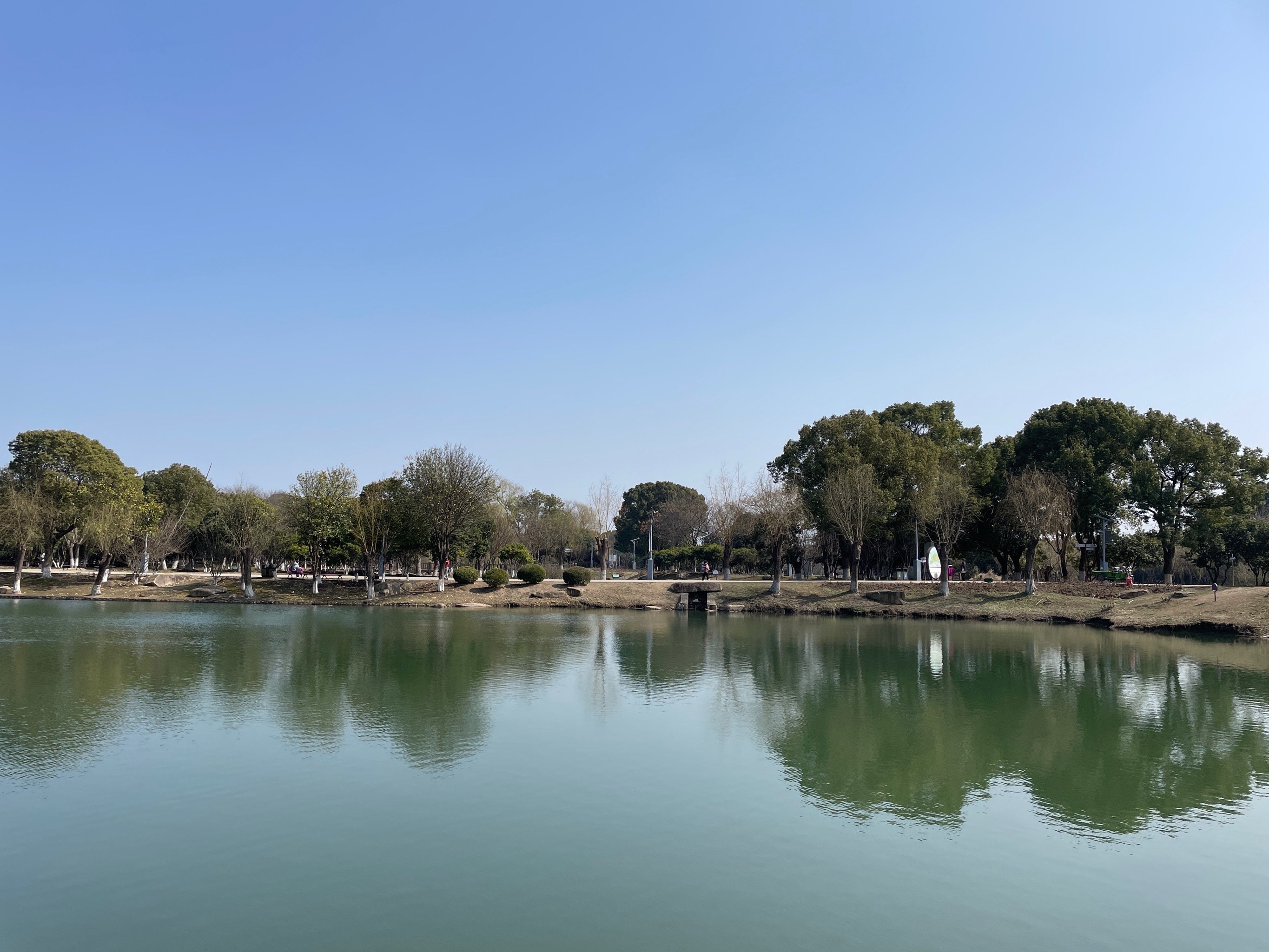 苏州盛泽湖月季园