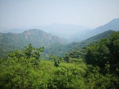 -大岭沟猕猴桃谷风景区