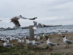 -青海湖二郎剑景区