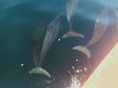 -春秋旅游(定西路营业部)