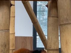 -无锡动物园·太湖欢乐园