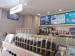 -雾与山茶(大禹城店)