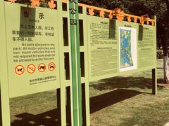 -青枫公园