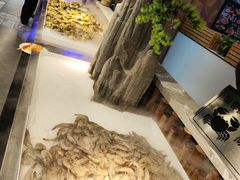 -圣罗巴海鲜烤肉自助(佳兆业店)