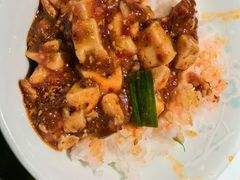 -陈麻婆豆腐总店