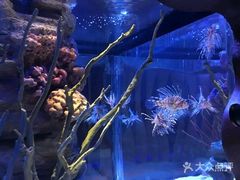 -暹罗海洋世界