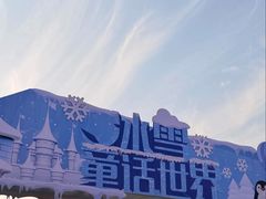 -荷兰花海