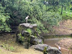 -吉隆坡雀鸟公园