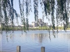 -莲花池公园