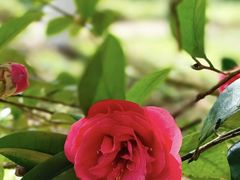 -贵州省植物园