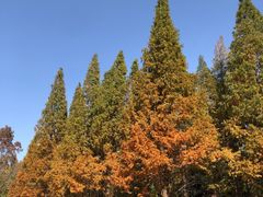 -隋唐洛阳城明堂天堂景区