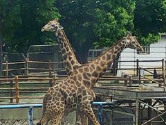 -西安秦岭野生动物园