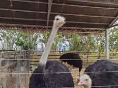 -南京金牛湖风景区