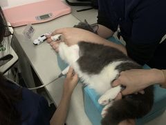 -拜鲁耶动物诊疗中心·宠家动物医院