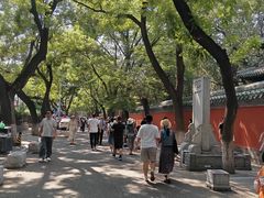 -北京国子监胡同