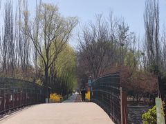 -大兴滨河森林公园