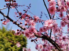 -白塘生态植物园
