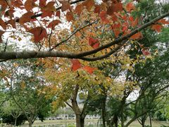 -北京师范大学(珠海校区)