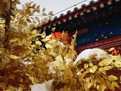 -西海子公园