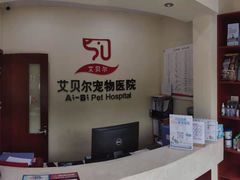 -艾贝尔宠物医院 ·内科全科(梁溪路店)