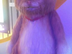 -万达影城(经区九龙城店)