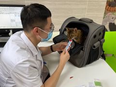 -北京观赏动物医院·24小时大型综合·猫专科·异宠专科
