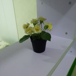点击看大图 -Yue Show馨选·半永久纹眉纹眼线
