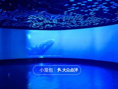 -同济大学四平路校区深海探索馆