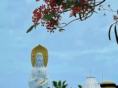 -三亚南山文化旅游区