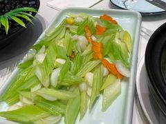 -丁老爷子苏香圆