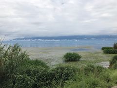 -小普陀